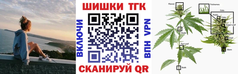 купить Ленинградская Бошки Шишки гибрид